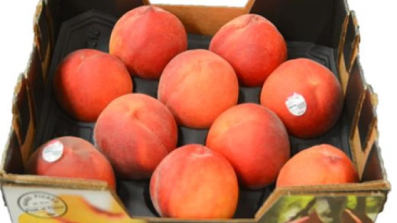 Deadly Listeria Outbreak Forces Recall of Peaches, Plums, and Nectarines