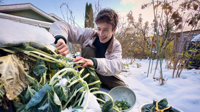 Unveiling the Winter Secret: The Magical Transformation of Your Garden Veggies