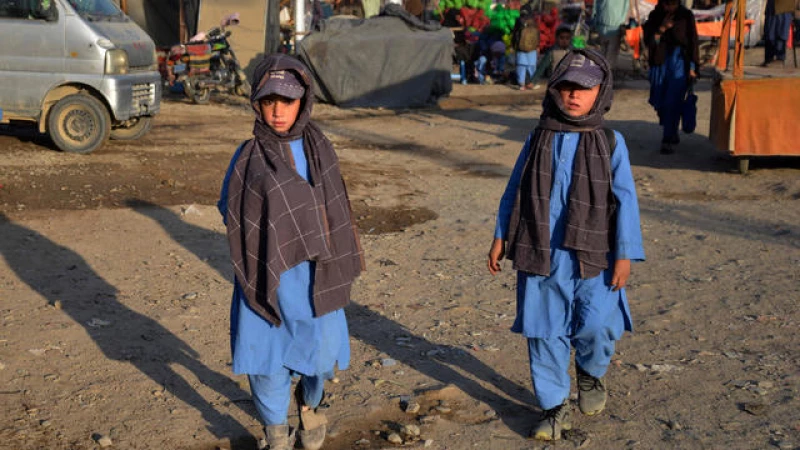 New Report Exposes Taliban's Brutal Suppression of Education, Endangering the Future of Our Children