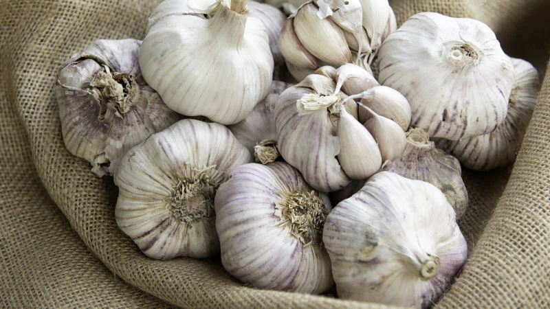 Turn Your Plastic Water Bottle into an Endless Garlic Garden