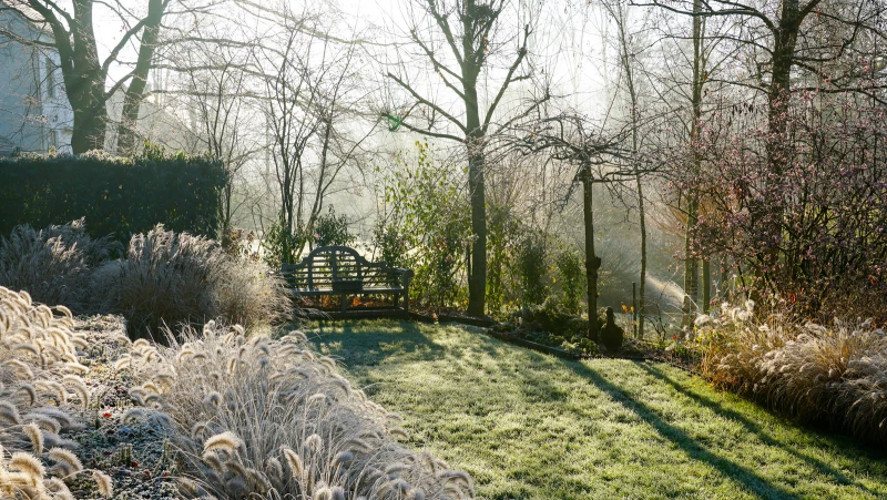 How Freeze Levels Can Make or Break Your Lawn and Garden This Winter
