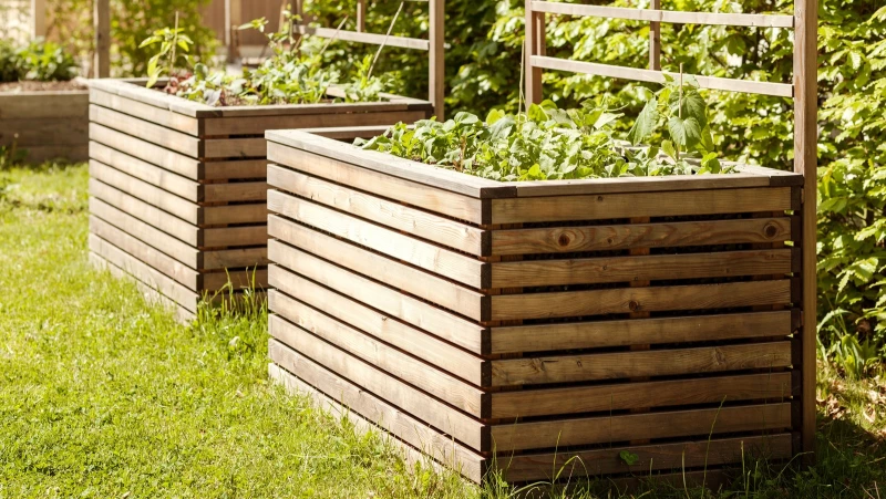 "Discover the Unbelievable DIY Solution for Affordable Raised Garden Beds"
