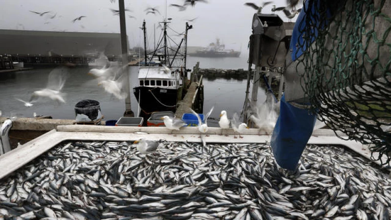 Supreme Court on the Verge of Curtailing Federal Agencies' Grip in Contentious Fishing Rule Disputes