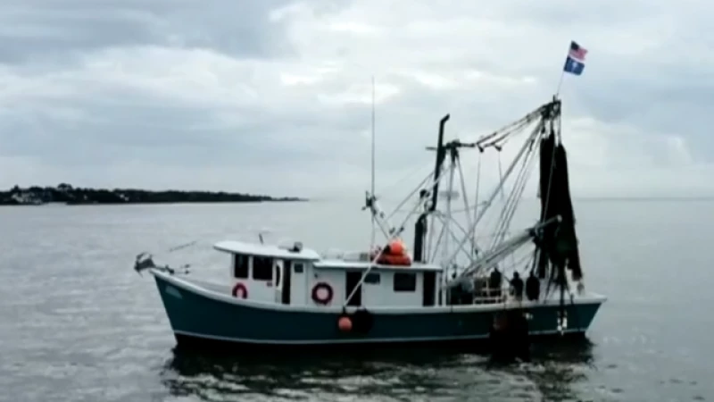 Struggling U.S. Shrimpers Battle Influx of Cheap Foreign Imports, Fighting for Survival