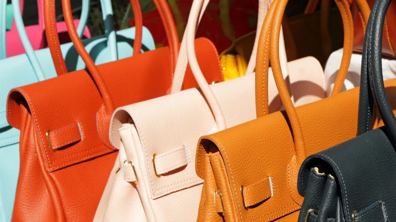 Maximize Your Closet Space: Organize Your Handbag Collection with This Dollar Tree Essential