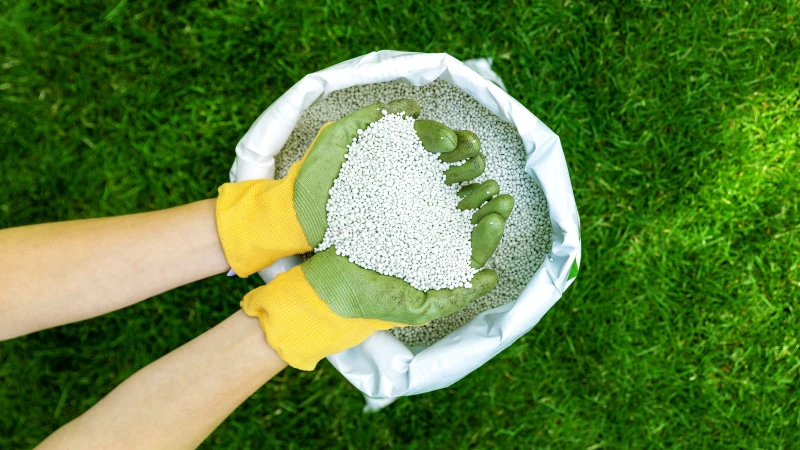 Transform Your Lawn with TikTok's Favorite Eco-Friendly Fertilizer for Lush Green Grass