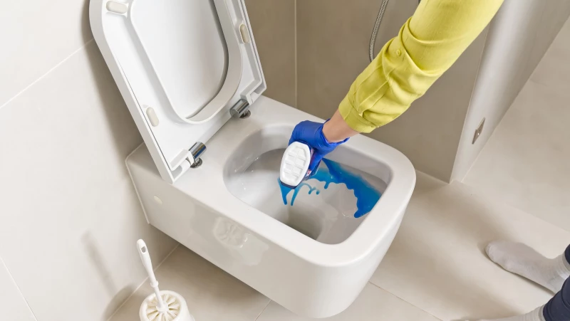 Discover the Surprising Cleaning Ingredient That Should Never Mix with Your Toilet Bowl Cleaners!