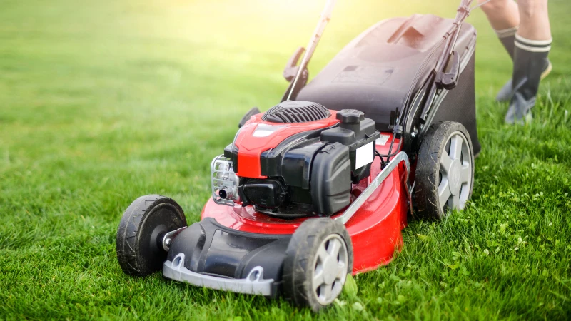 Unveiling the Ultimate TikTok Sensation: The Lawn Mower Everyone Can't Stop Talking About!
