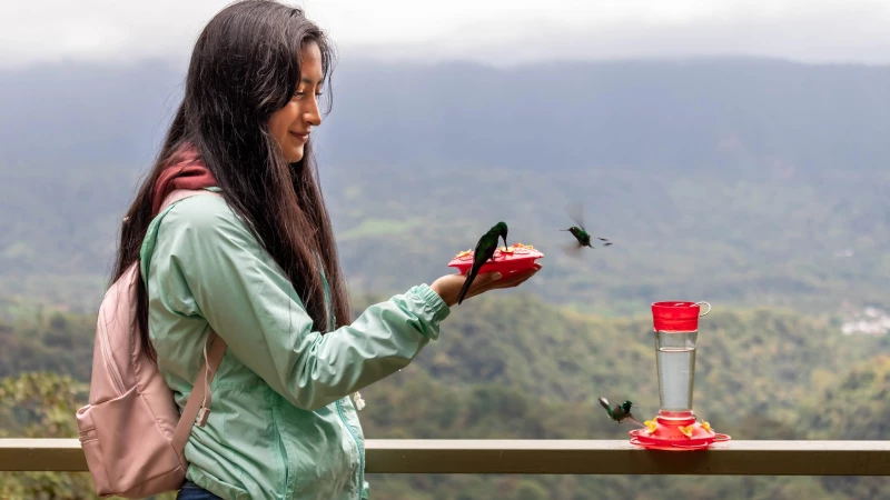 Transform Your Balcony into a Vibrant Hummingbird Haven with This Simple Trick!