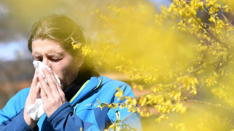 Get Ready for Spring Allergies: Essential Information on Symptoms and Pollen Count