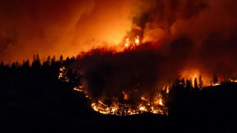 Government Issues Dire Warning: Canada Faces Imminent Threat of Devastating Wildfire Season