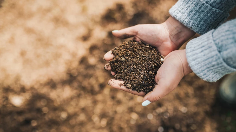 Revolutionize Your Garden Soil with This Amazing Organic Fertilizer!