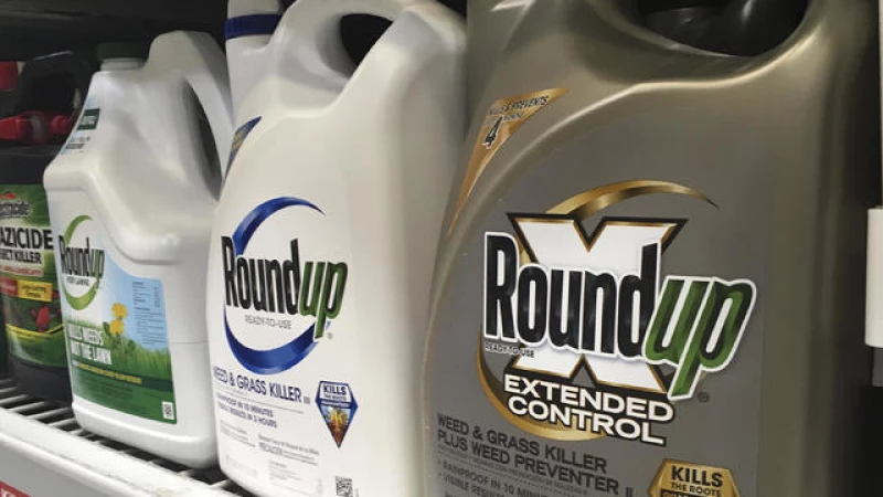 Bayer's Quest for Legal Protection Against Cancer Claims Linked to Roundup