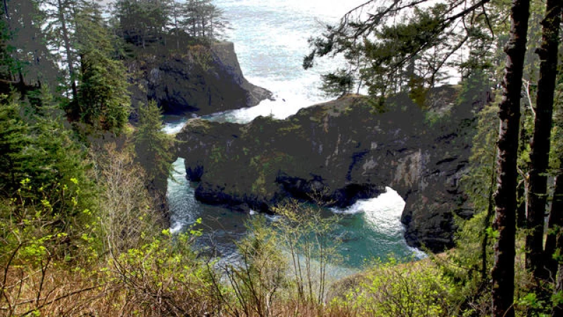 Tragic Accident: Husband Plunges to his Demise during Scenic Hike with Wife on Oregon's Coast