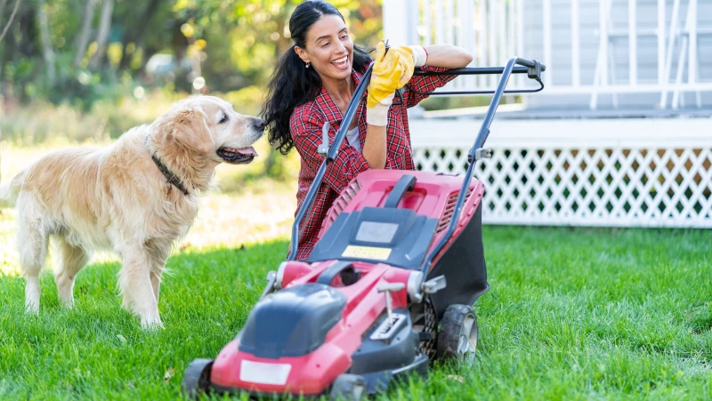Discover the Top-Rated Battery-Powered Lawn Mowers for Your Yard!