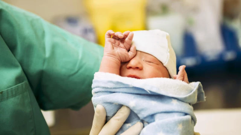 Record Low: U.S. Birth Rate Plummets after Pandemic Spike